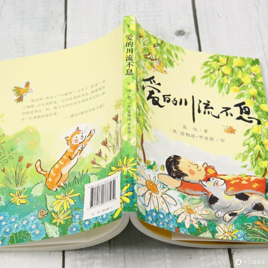 爱的川流不息茅盾文学奖得主张炜作品橘颂作者爱的故事毛孩子故事