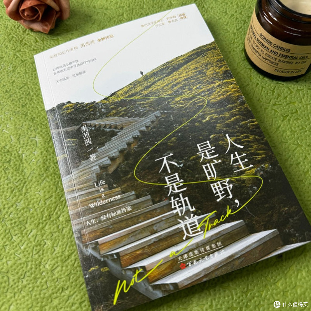 被问爆的年中好书 | 《人生是旷野，不是轨道》