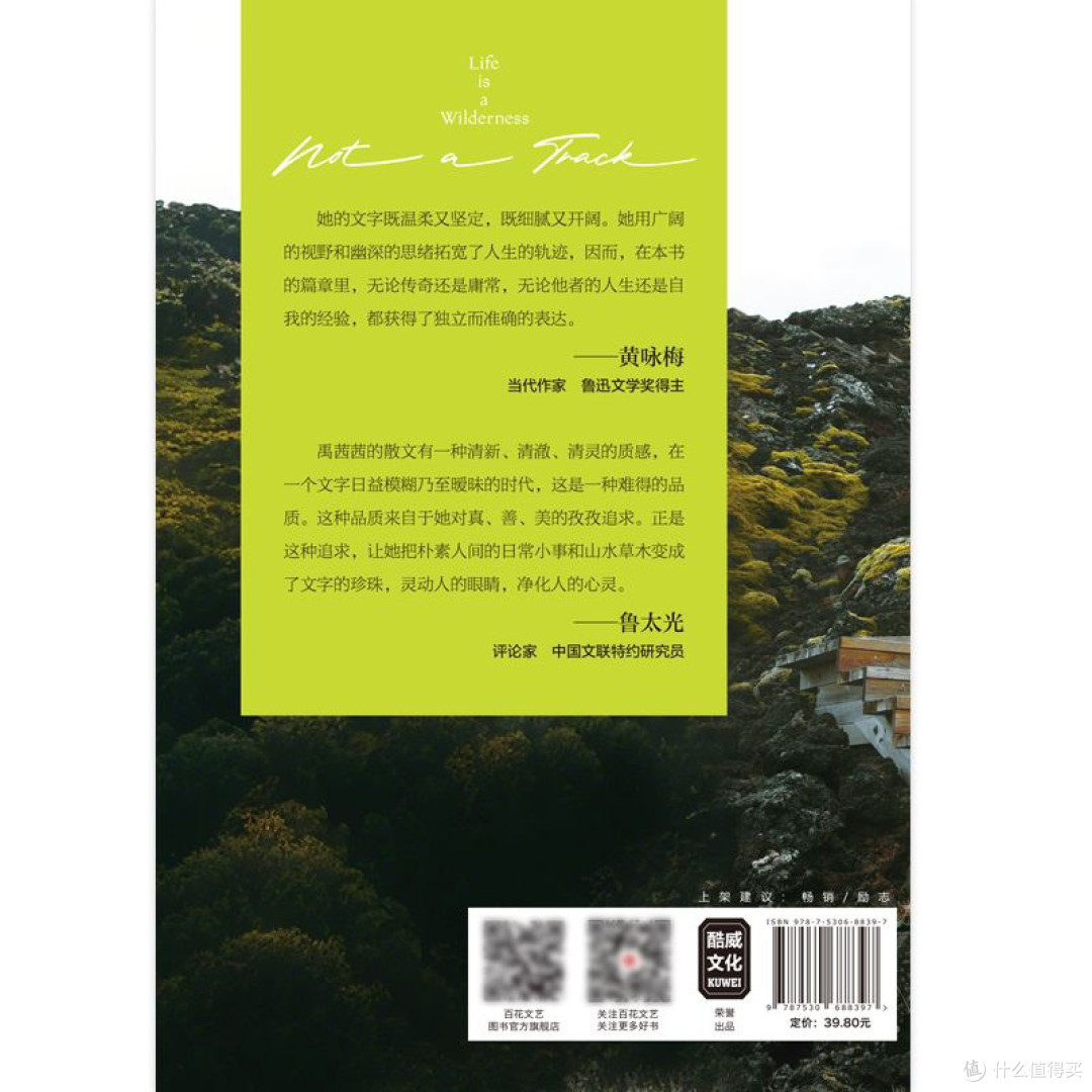被问爆的年中好书 | 《人生是旷野，不是轨道》