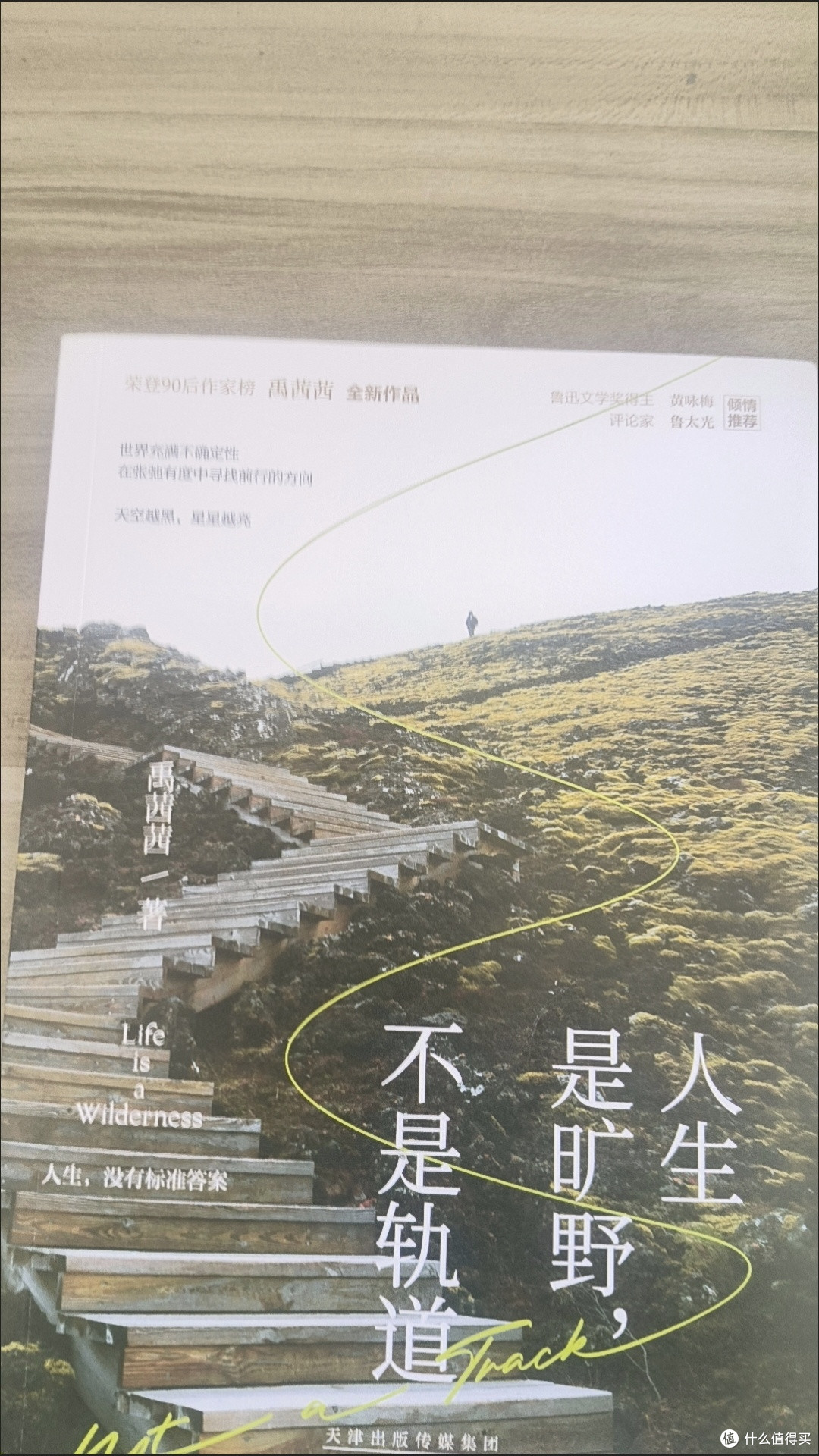 被问爆的年中好书 | 《人生是旷野，不是轨道》