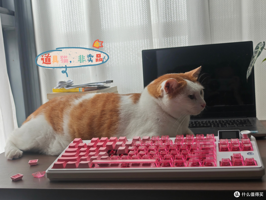 你能想象,猛男在用黑爵MK87粉雾海,是多么有趣的风景线