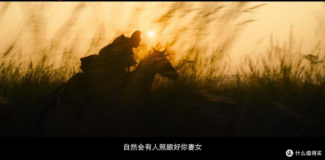 《长安的荔枝》:一粒鲜果照见盛唐浮世,千年职场困局今日犹鸣