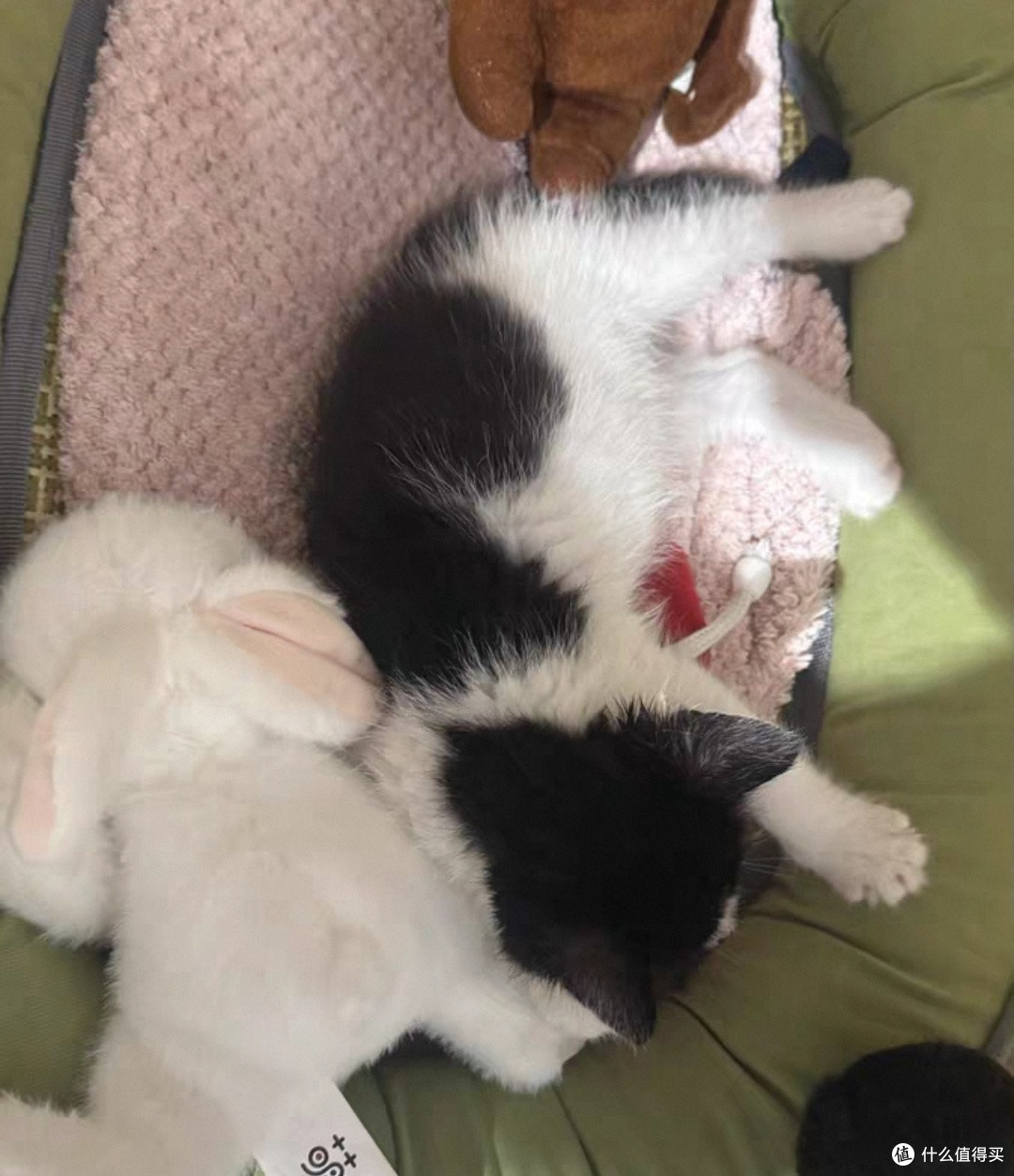 四季可拆洗猫窝,舒适全年