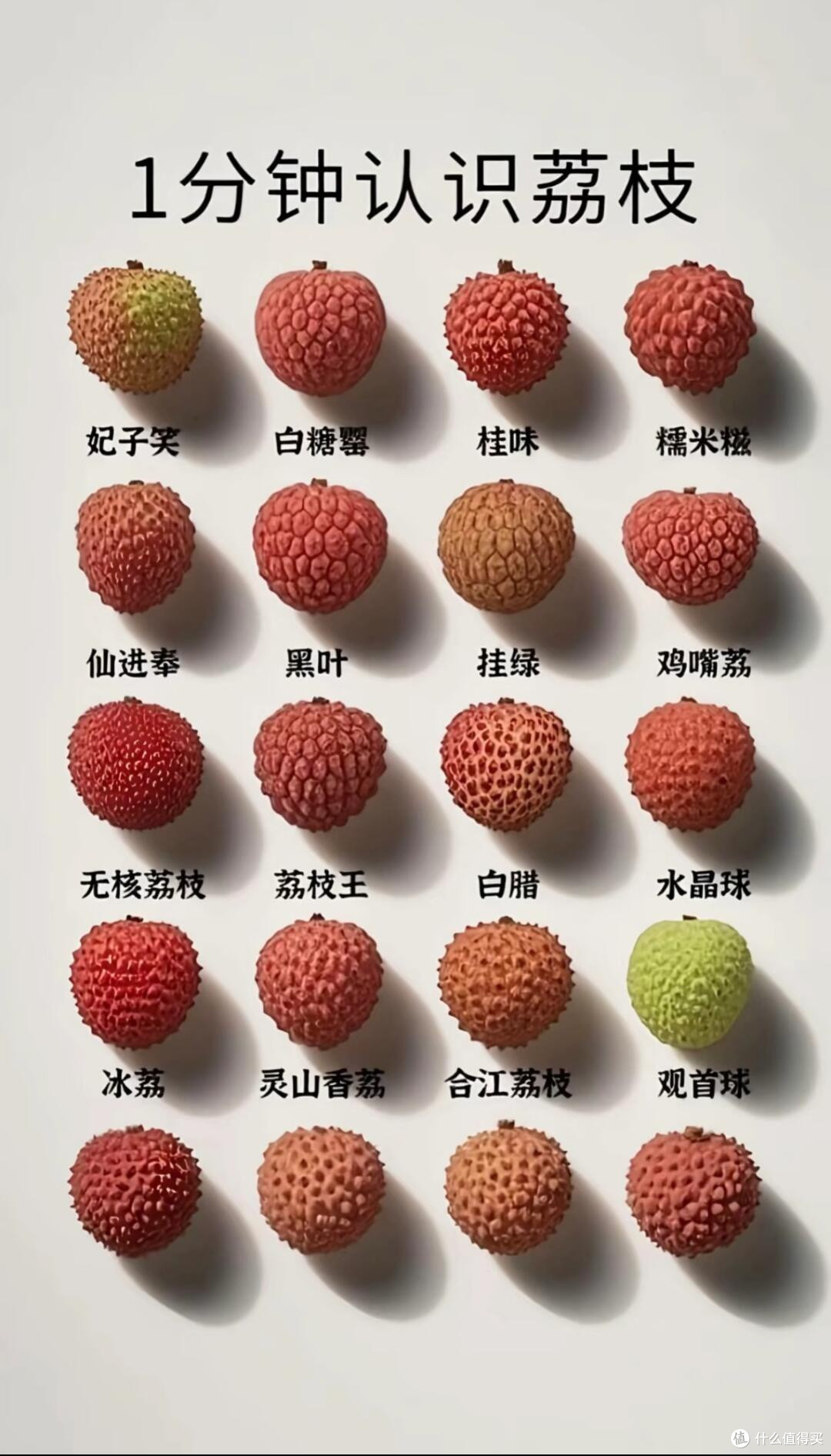荔枝版「选妃现场」!这么多品种,你翻谁牌子