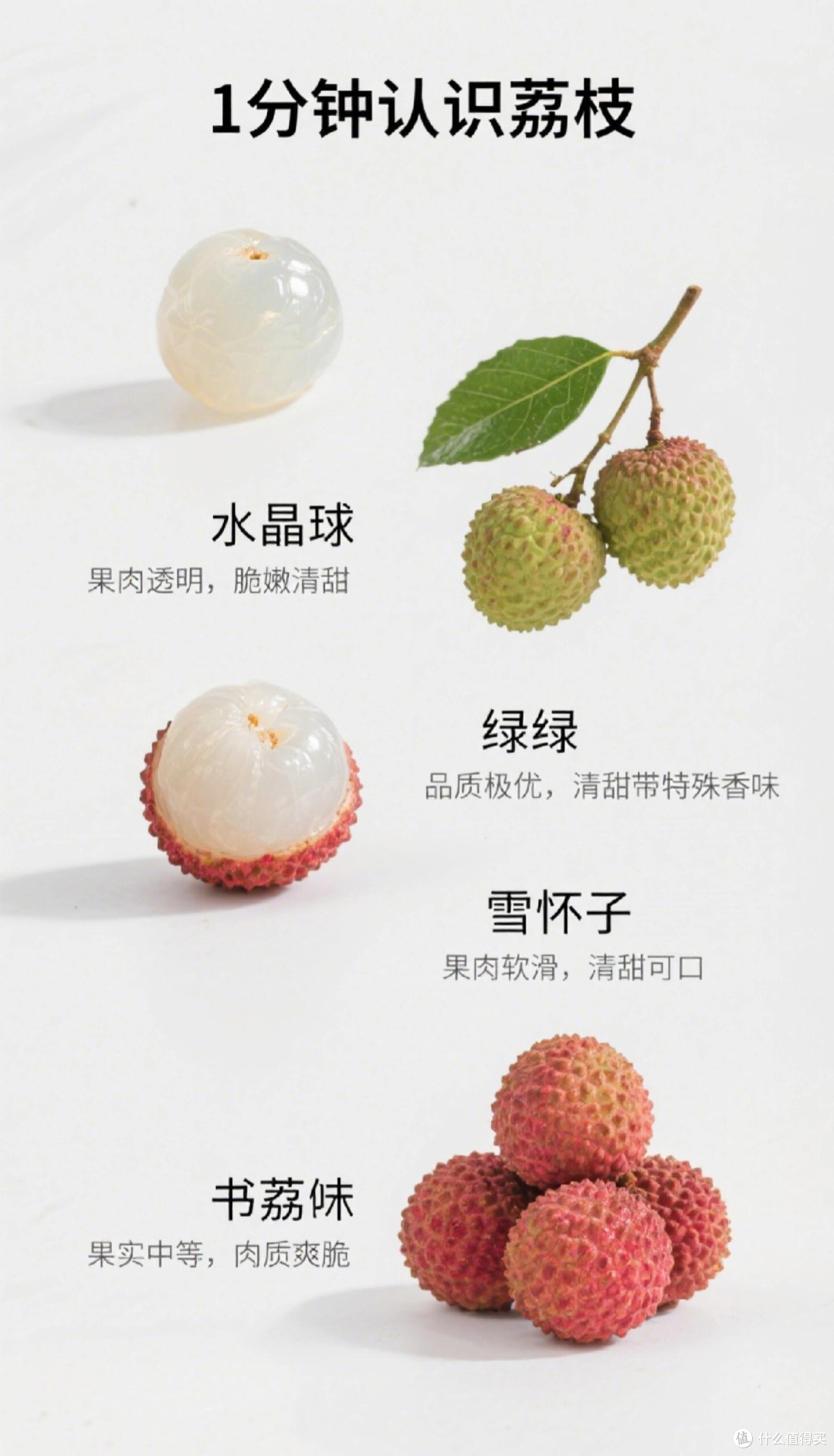荔枝版「选妃现场」!这么多品种,你翻谁牌子