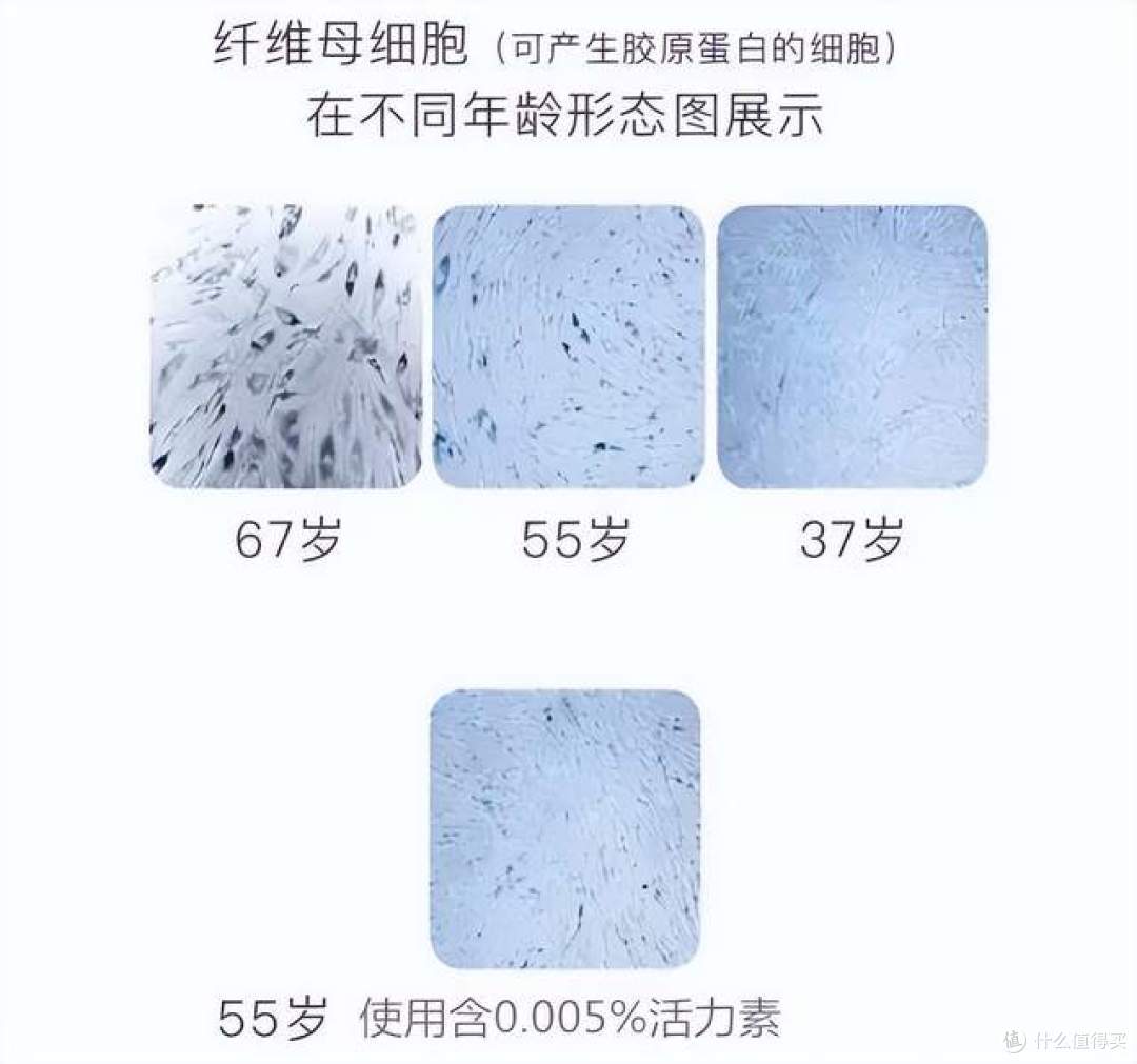 活力素 令肌肤细胞年轻 10 岁的秘密 INCI：乙酰基六肽-7