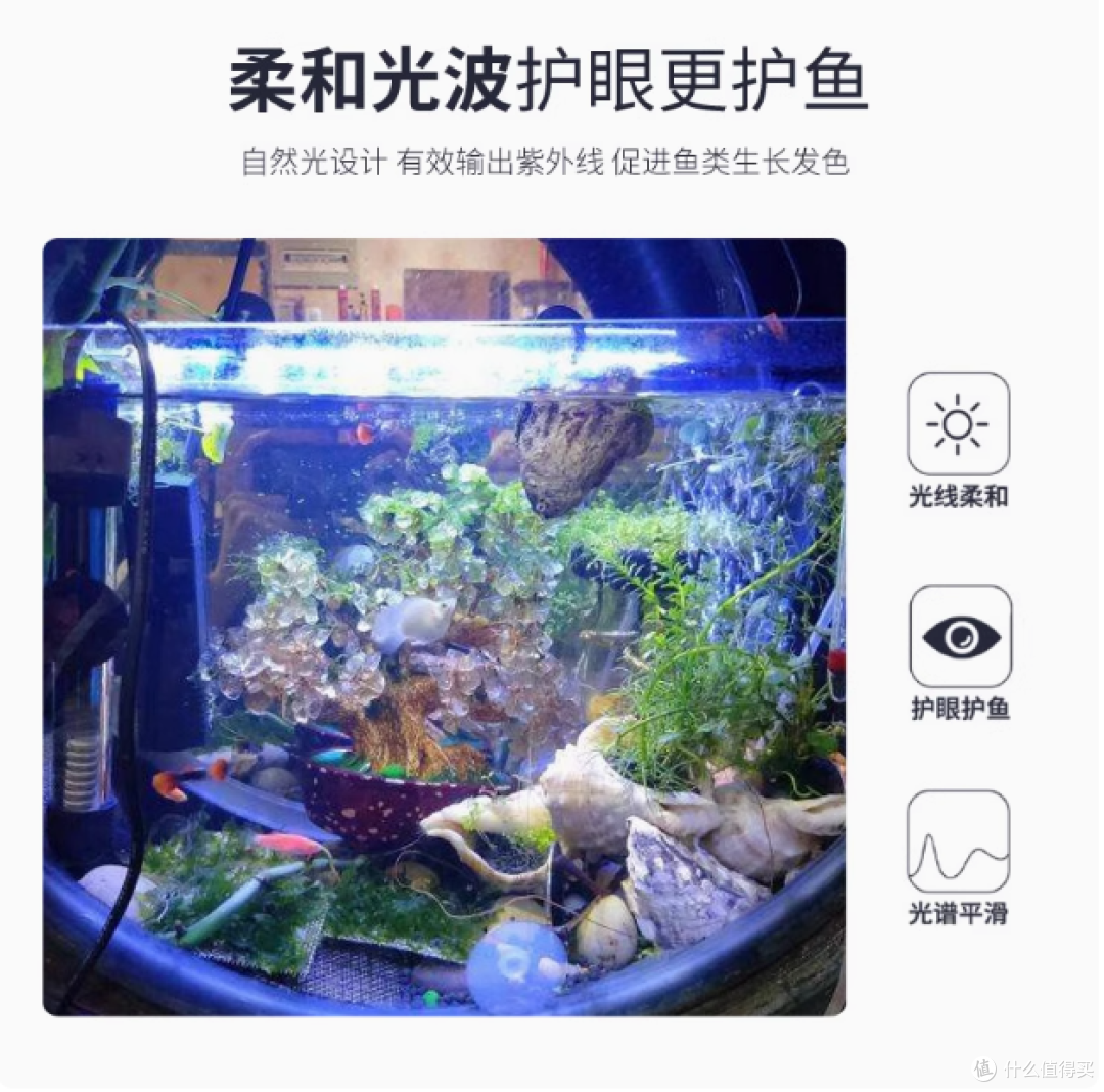森森鱼缸变色LED灯:点亮水族奇幻世界
