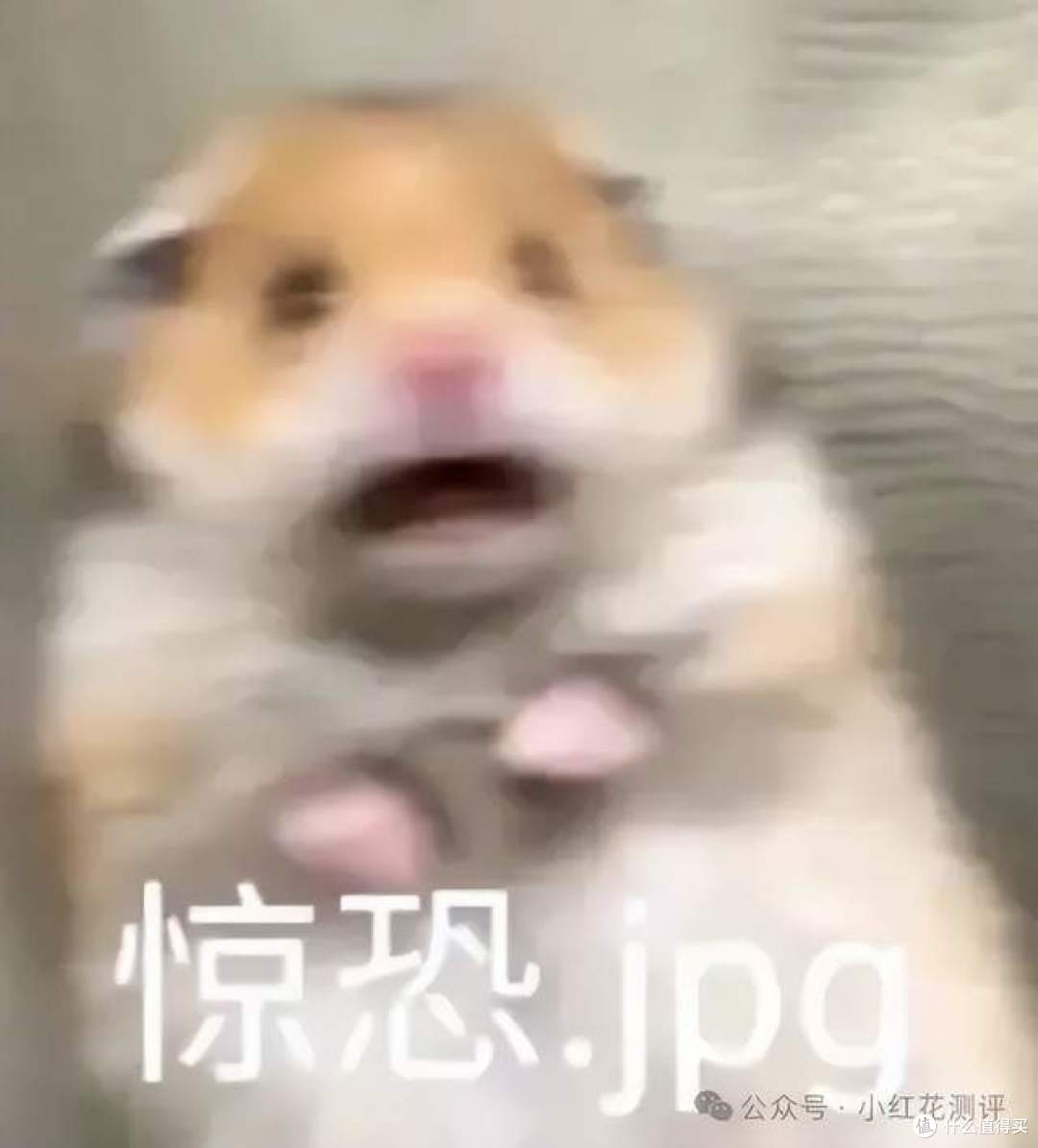 冰箱让孩子得白血病?洋专家的话就那么可信?