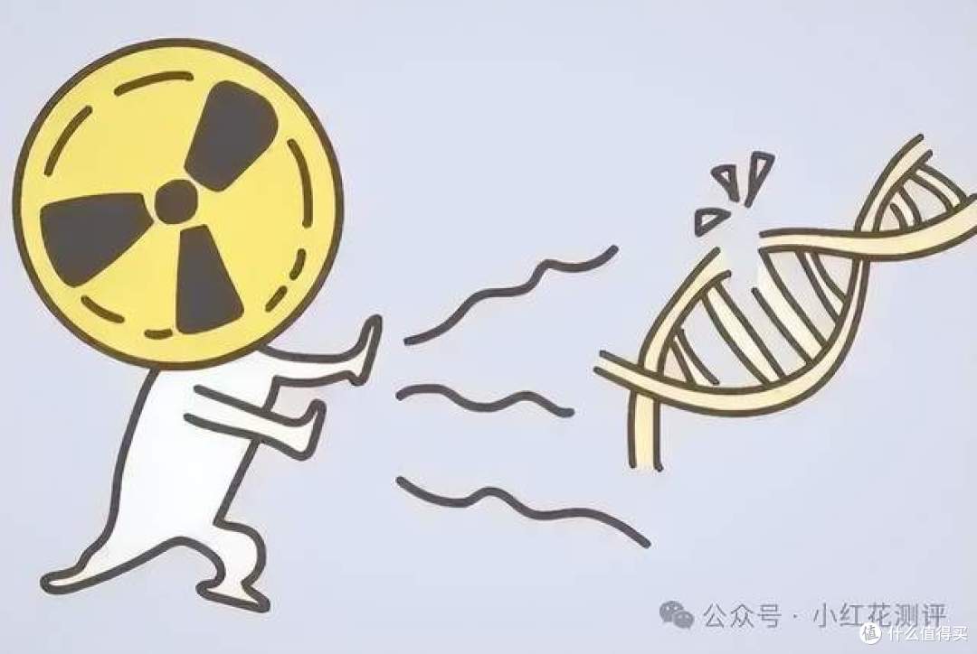 冰箱让孩子得白血病?洋专家的话就那么可信?