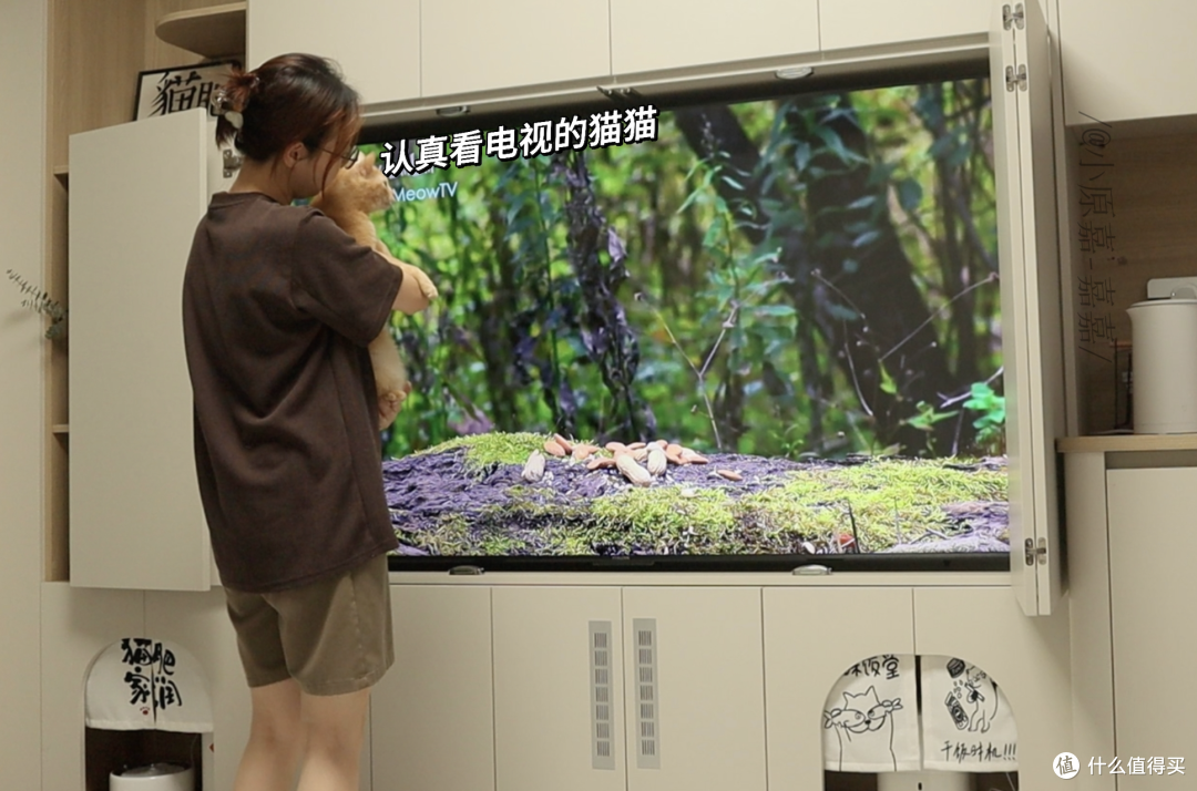 宠物友好设计,在养宠家庭眼里是什么样的?铲屎官需求不吐不快!