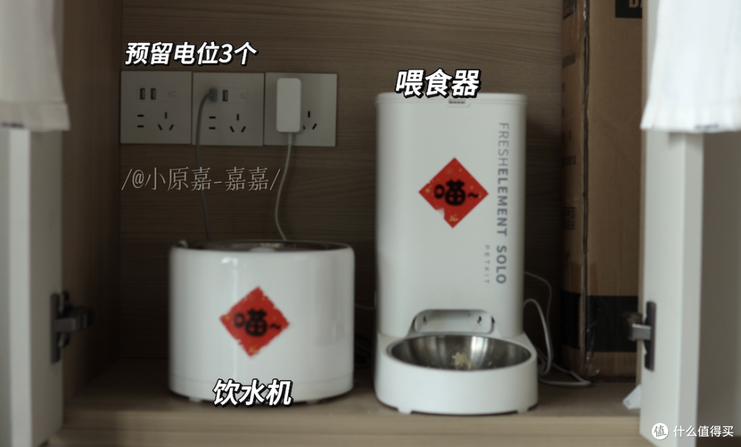 宠物友好设计,在养宠家庭眼里是什么样的?铲屎官需求不吐不快!