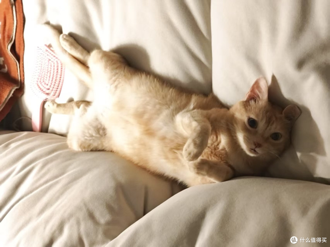 人，晚安了：）