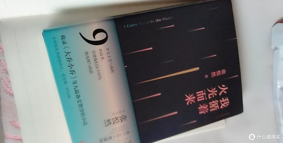 于暗夜微光中探寻灵魂的归处——读张悦然《我循着火光而来》