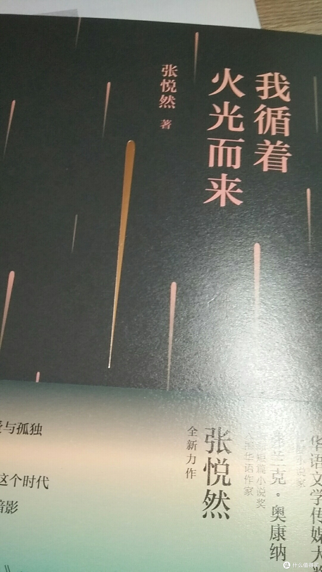 于暗夜微光中探寻灵魂的归处——读张悦然《我循着火光而来》