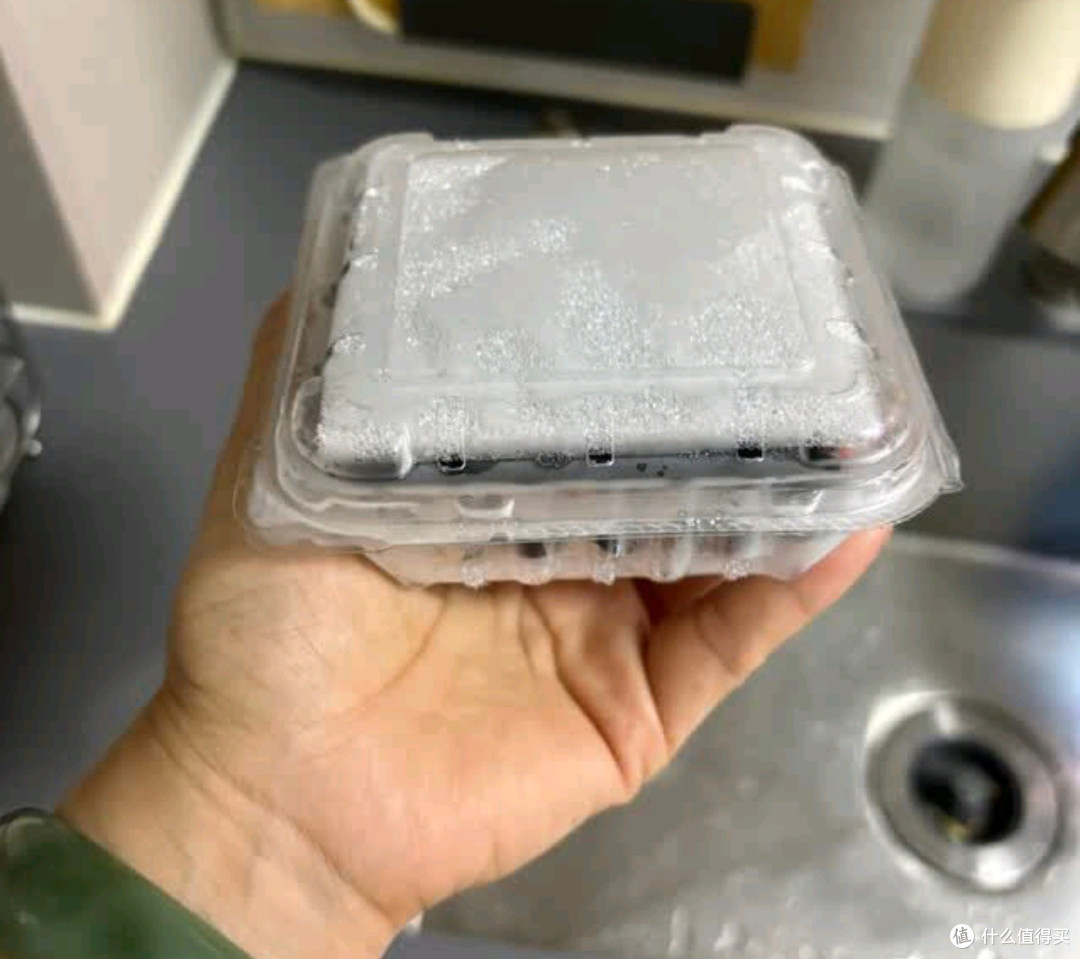 蒲恋高山蓝莓:北纬38°的紫钻宝藏,