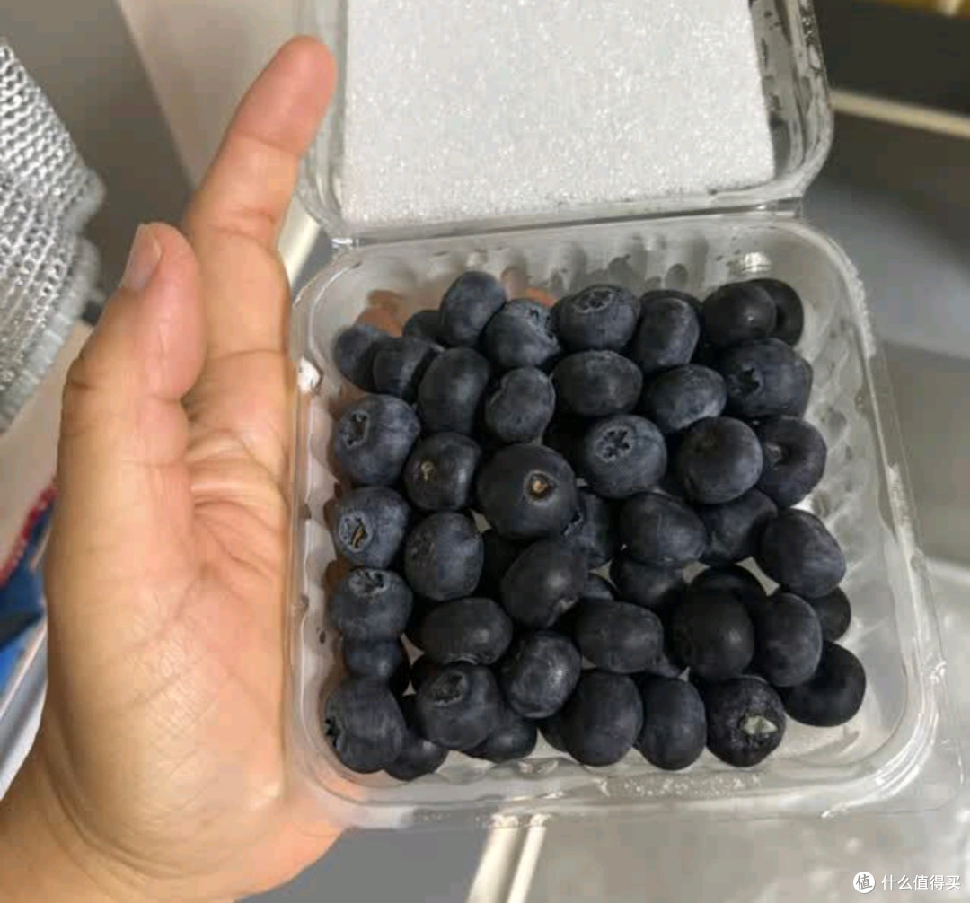 蒲恋高山蓝莓:北纬38°的紫钻宝藏,