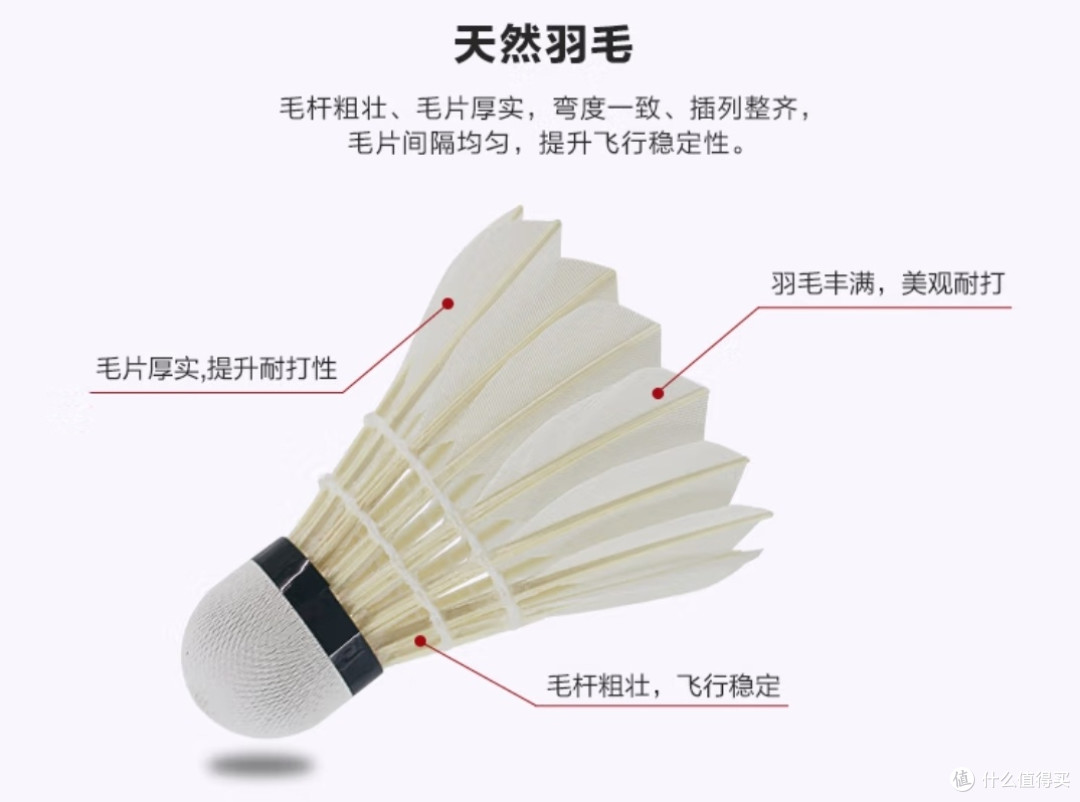 新手羽毛球选购指南