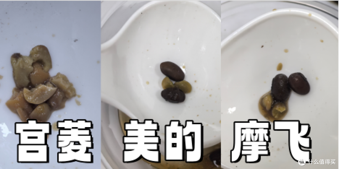 宫菱、美的、摩飞电高压锅怎么样?如何选?真实测评PK!