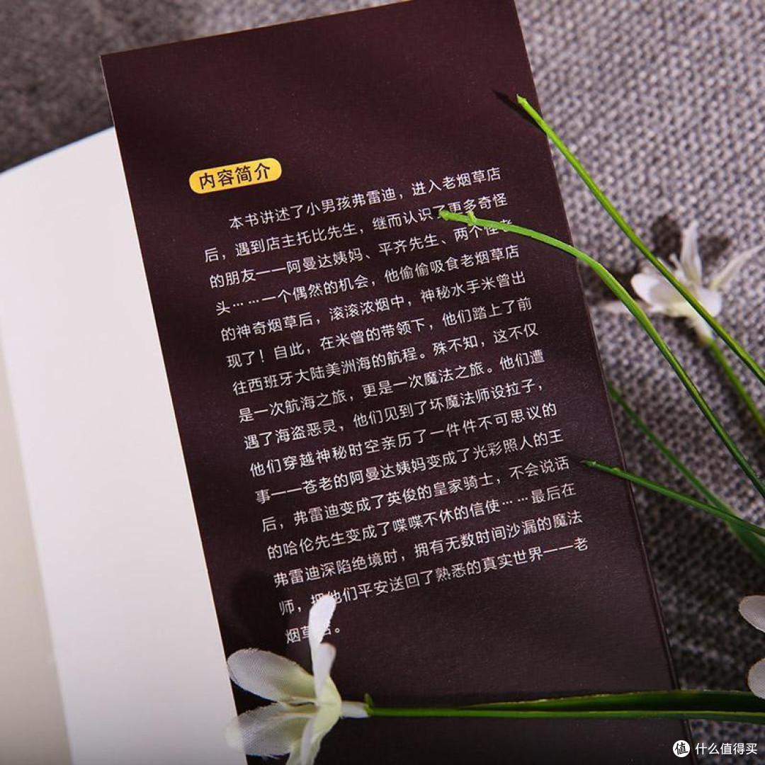 谁能拒绝一场奇幻冒险?这本儿童文学神作强推