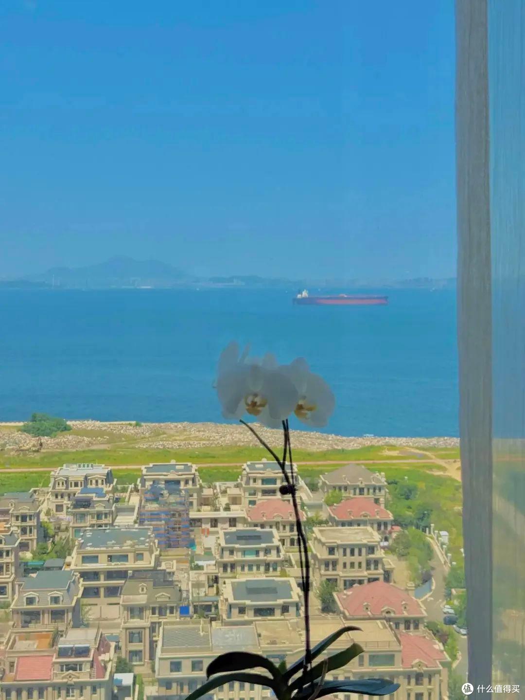 大连一女子火了,花100W入住海景房,那叫一个岁月静好,晒晒