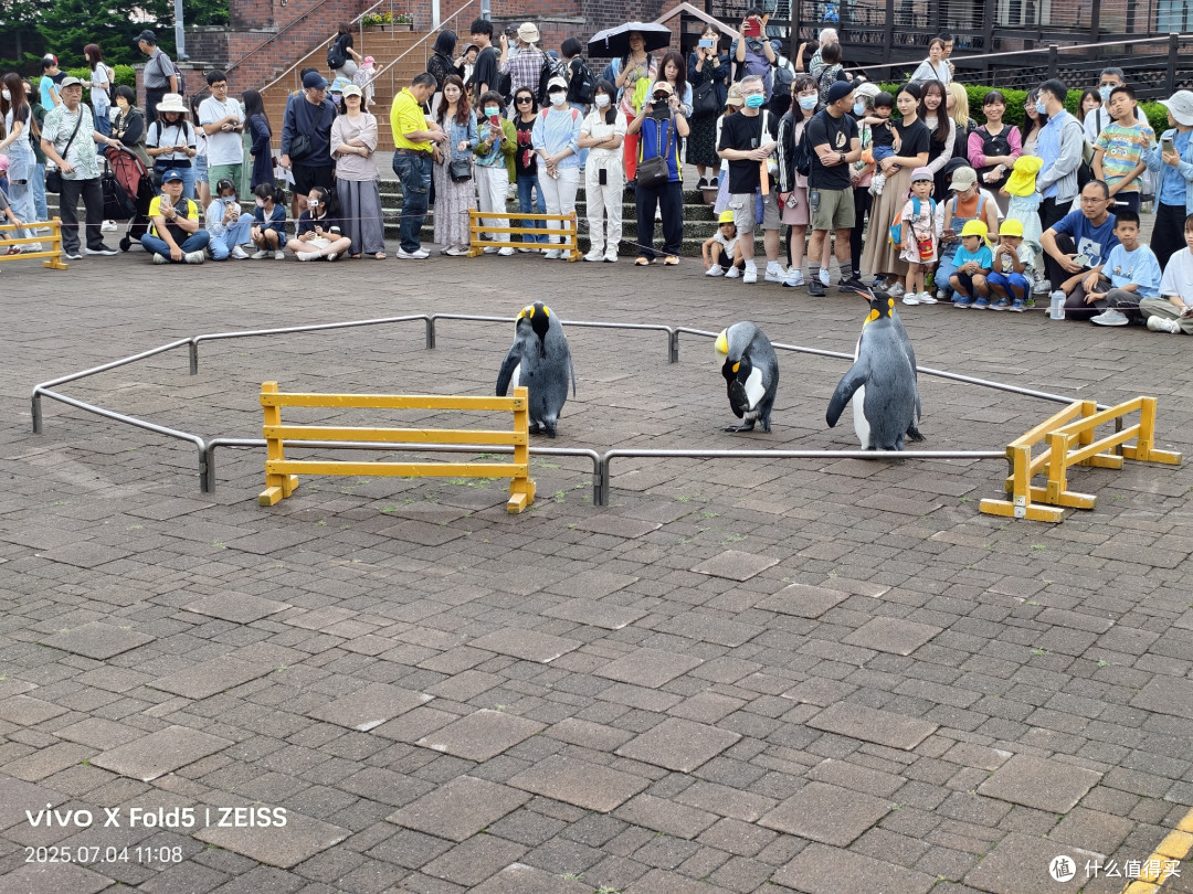 人性考验北国旅,他乡浅游高校记(北海道篇)