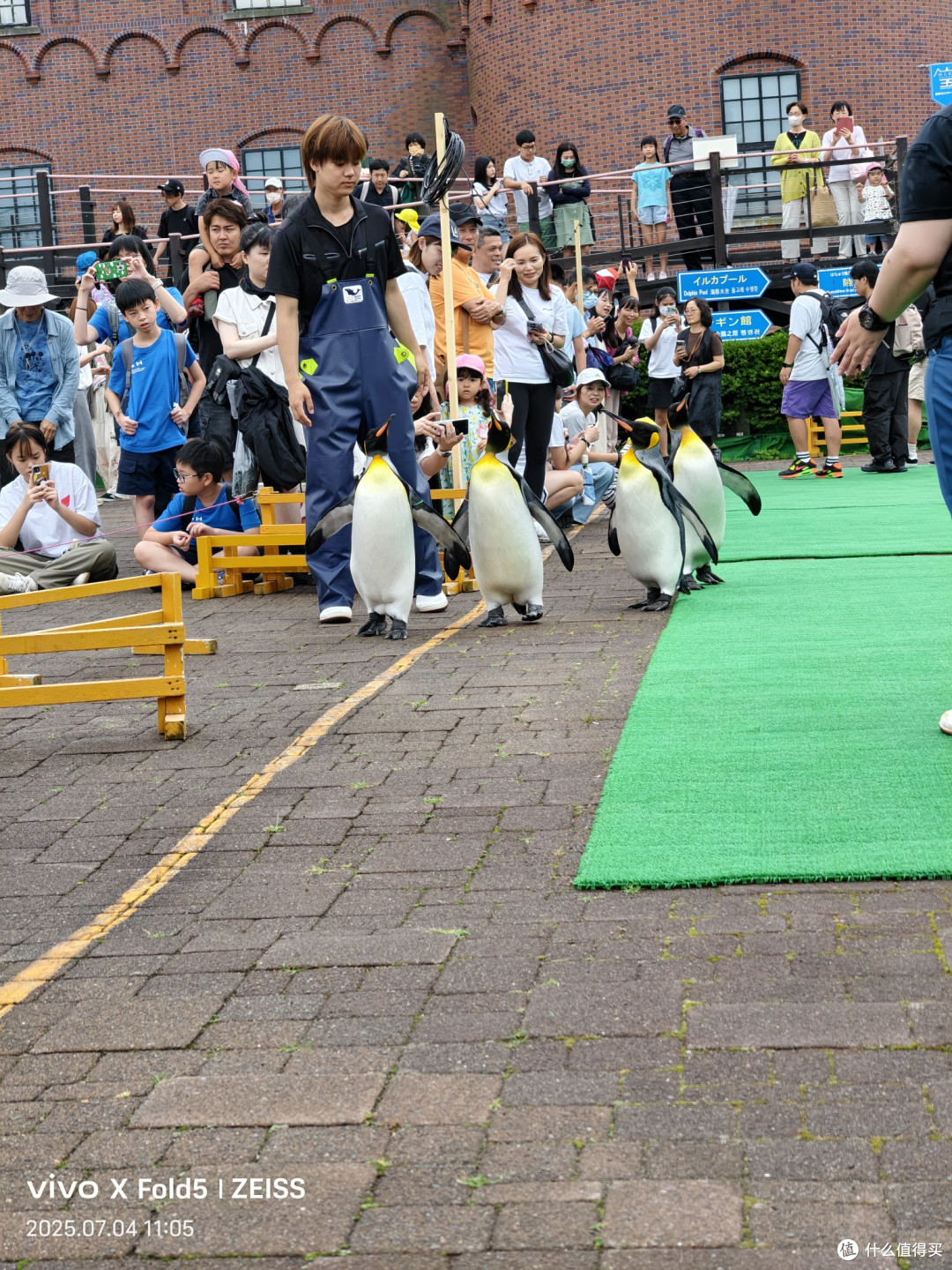 人性考验北国旅,他乡浅游高校记(北海道篇)