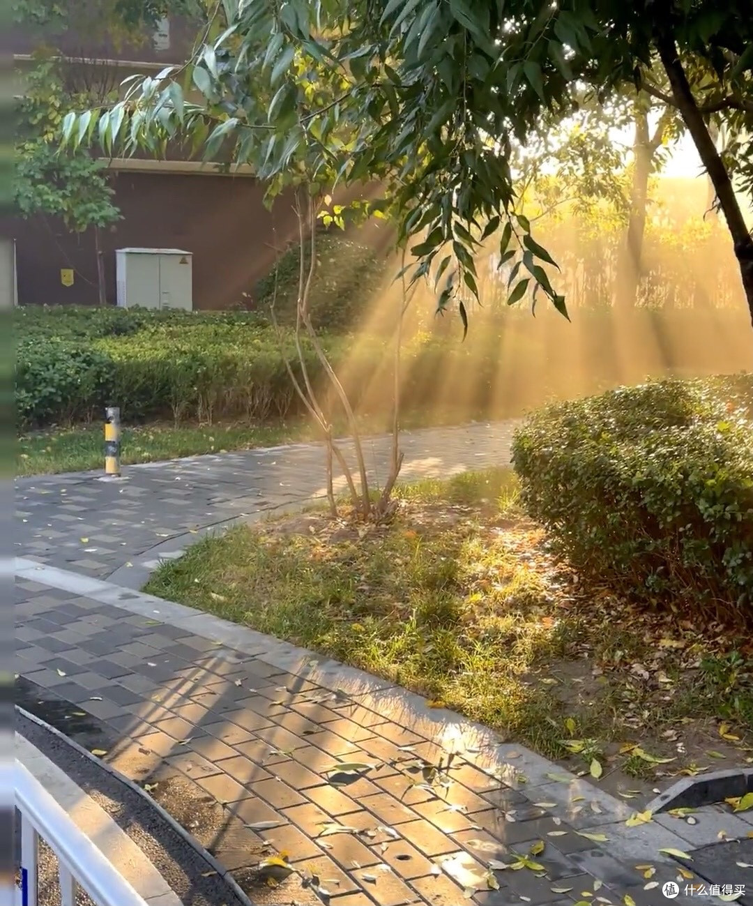 湖南麻辣鸭货，你尝过吗？