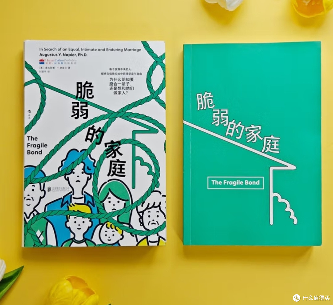 在破碎与完整之间:家庭治疗师的脆弱与救赎