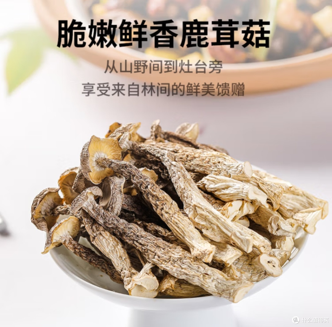 金唐鹿茸菇选购与食用指南