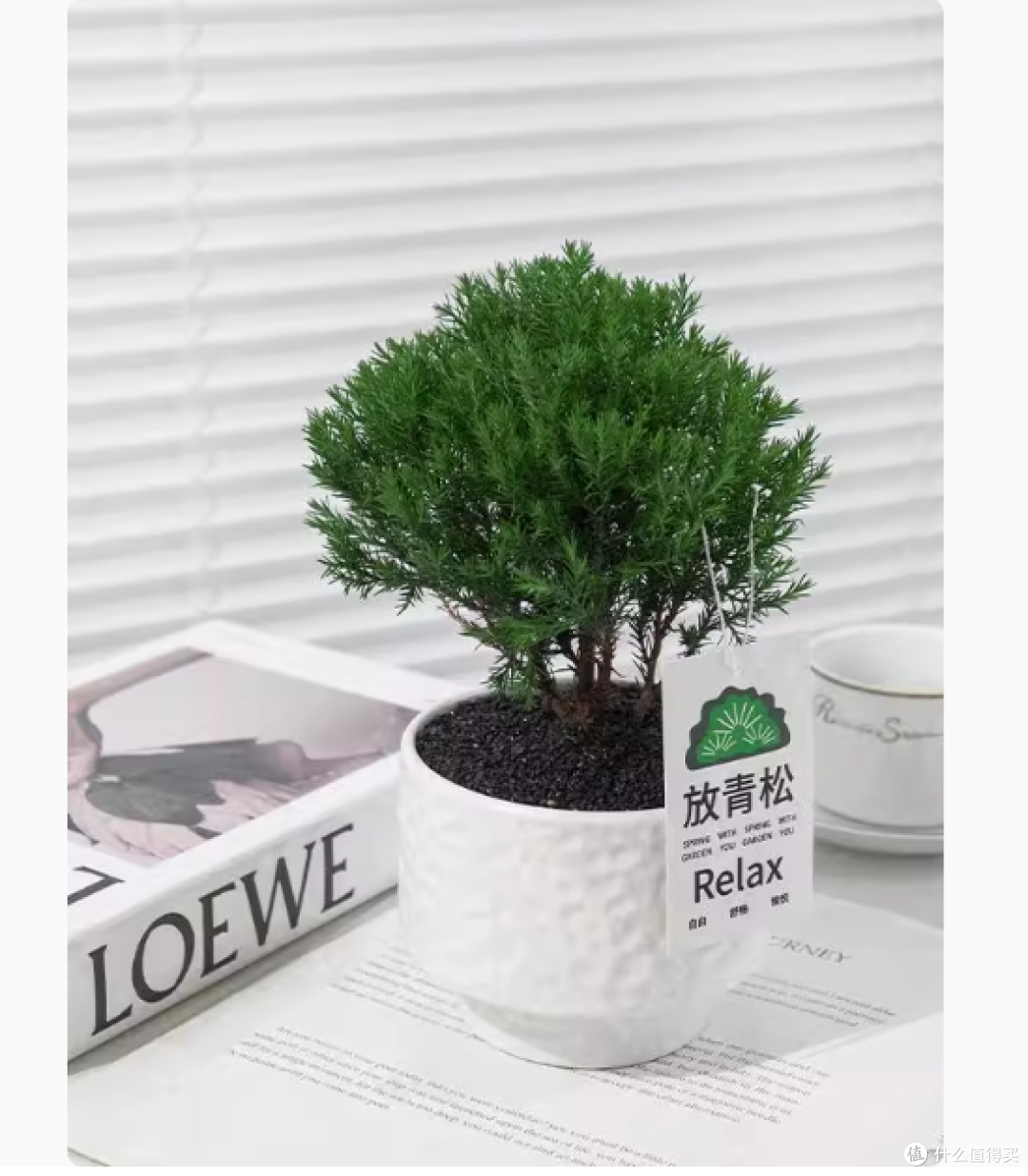 牛小陶旗舰店雾凇桌面摆件：把冬日奇景搬回家