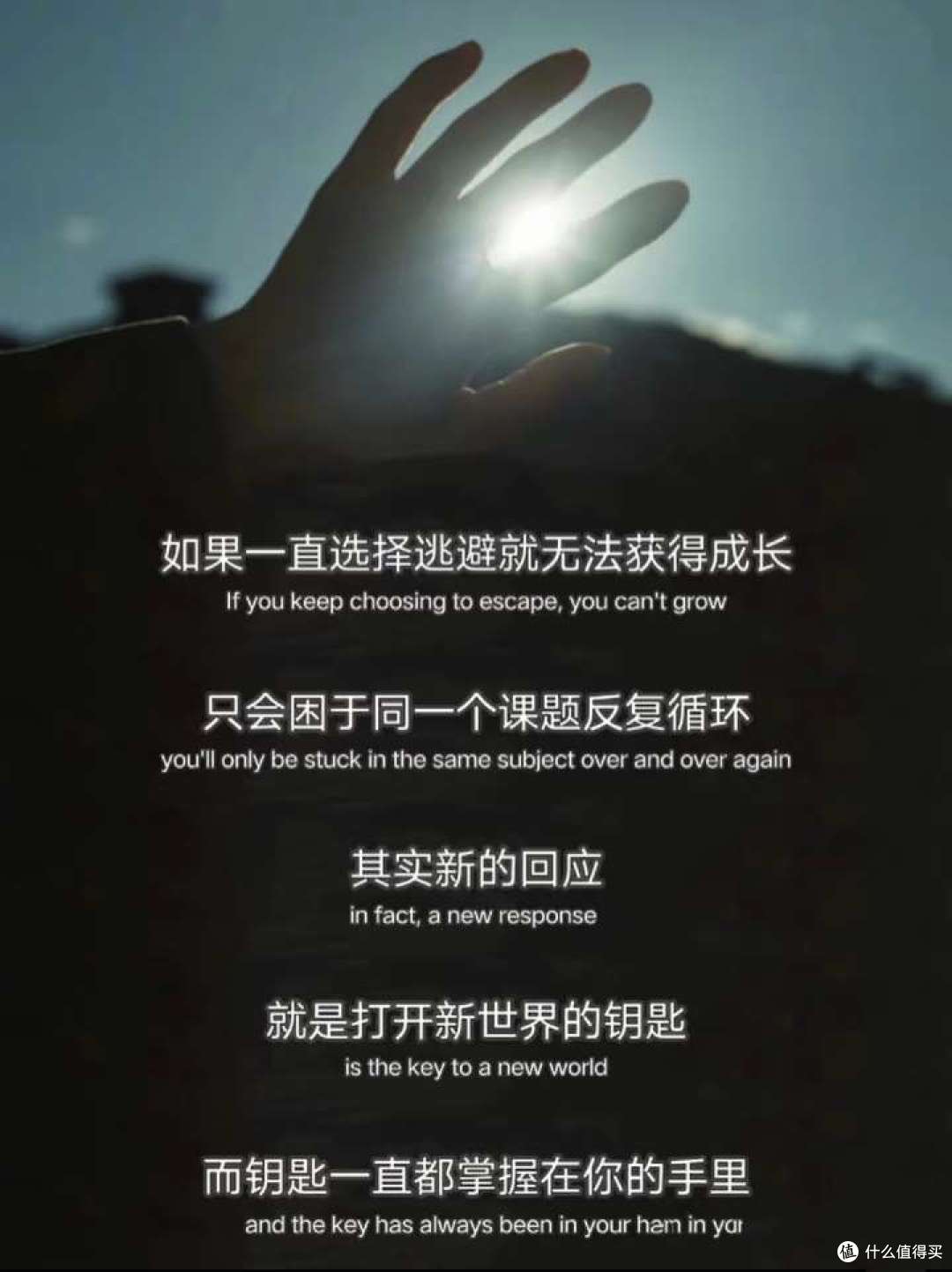与父母吵架说明自己以后不结婚生子，父母极力反对，该如何处理？