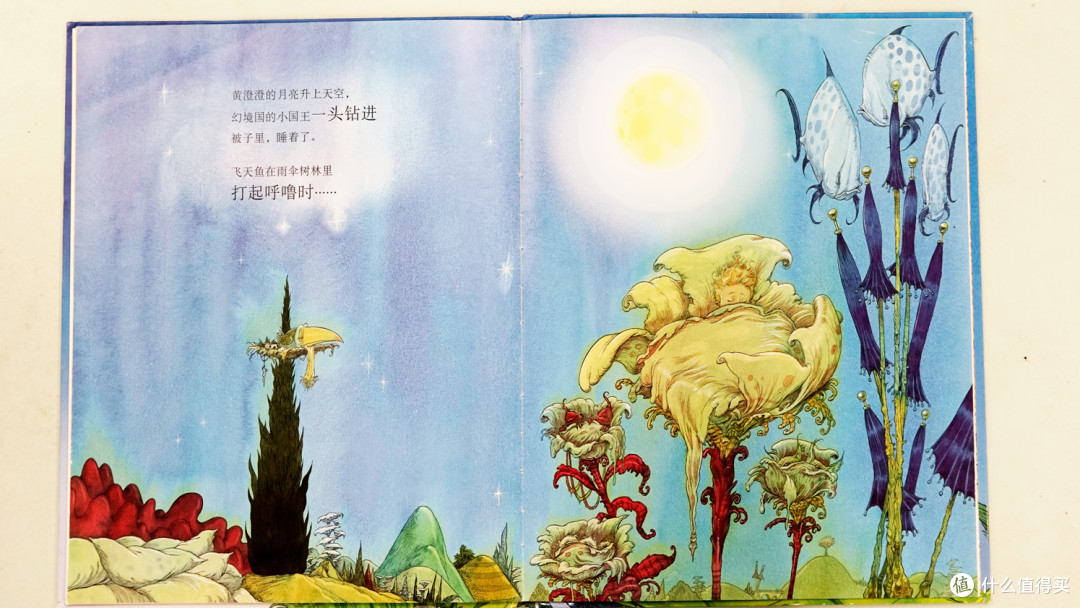 儿童绘本《幻境国的小国王》
