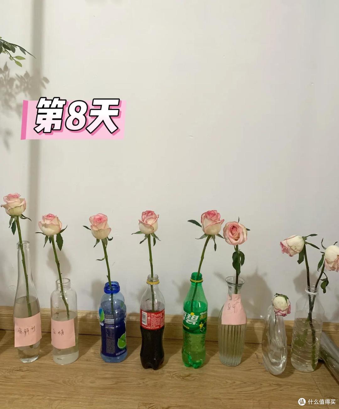 被网友的84妙用惊呆!看前:不就个消毒的,看后:你是我的神!
