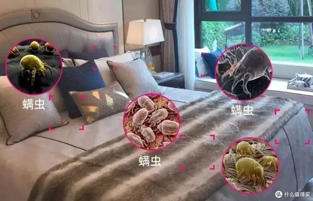 希亦、锐舞、小狗除螨仪综合对决：谁才是除螨小能手？​