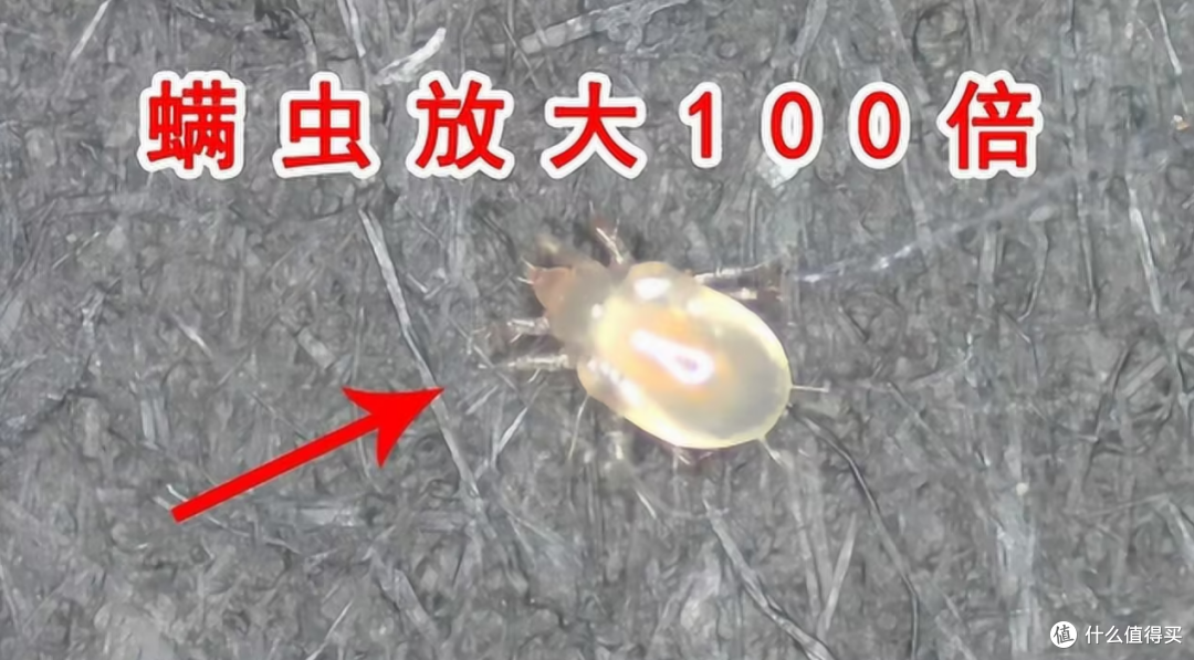 希亦、锐舞、小狗除螨仪综合对决：谁才是除螨小能手？​