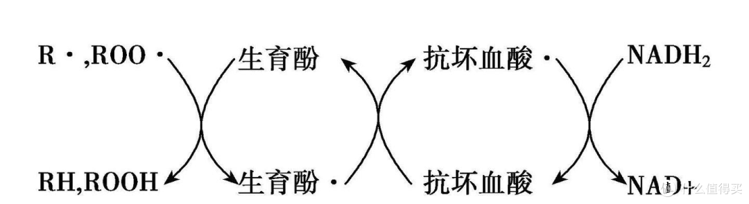 维生素C有什么作用?