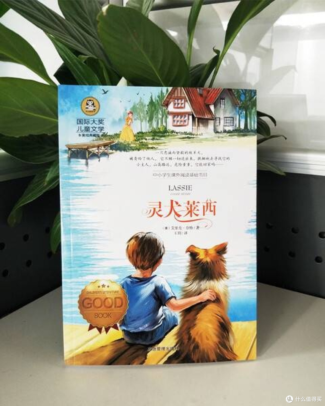永不褪色的忠诚:《灵犬莱西》中的永恒价值