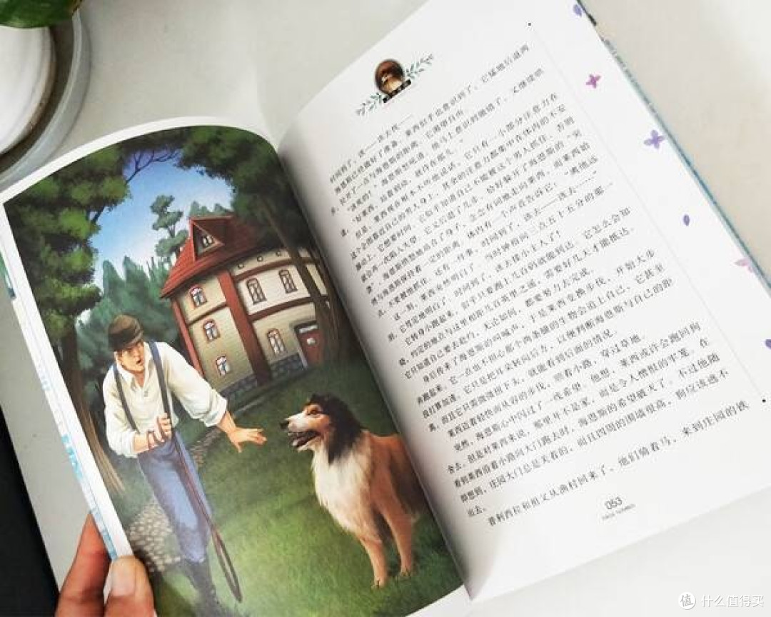 永不褪色的忠诚:《灵犬莱西》中的永恒价值