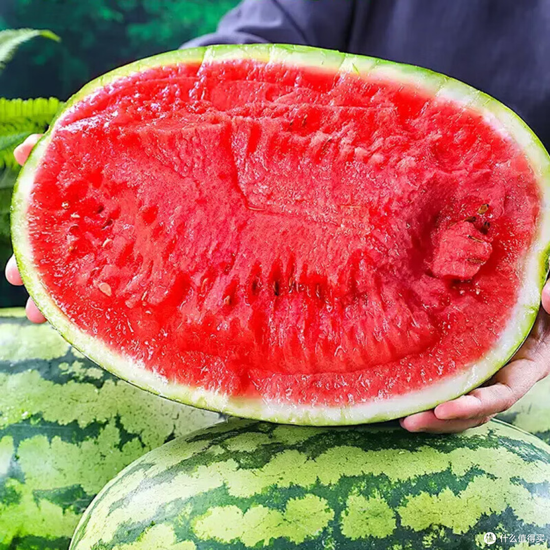 吃瓜30多年,最好吃还得是这10种!