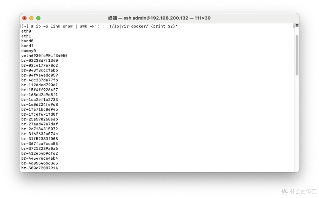 蹭网?还是太嫩了!Docker部署NetAlertX打造家庭网络哨兵