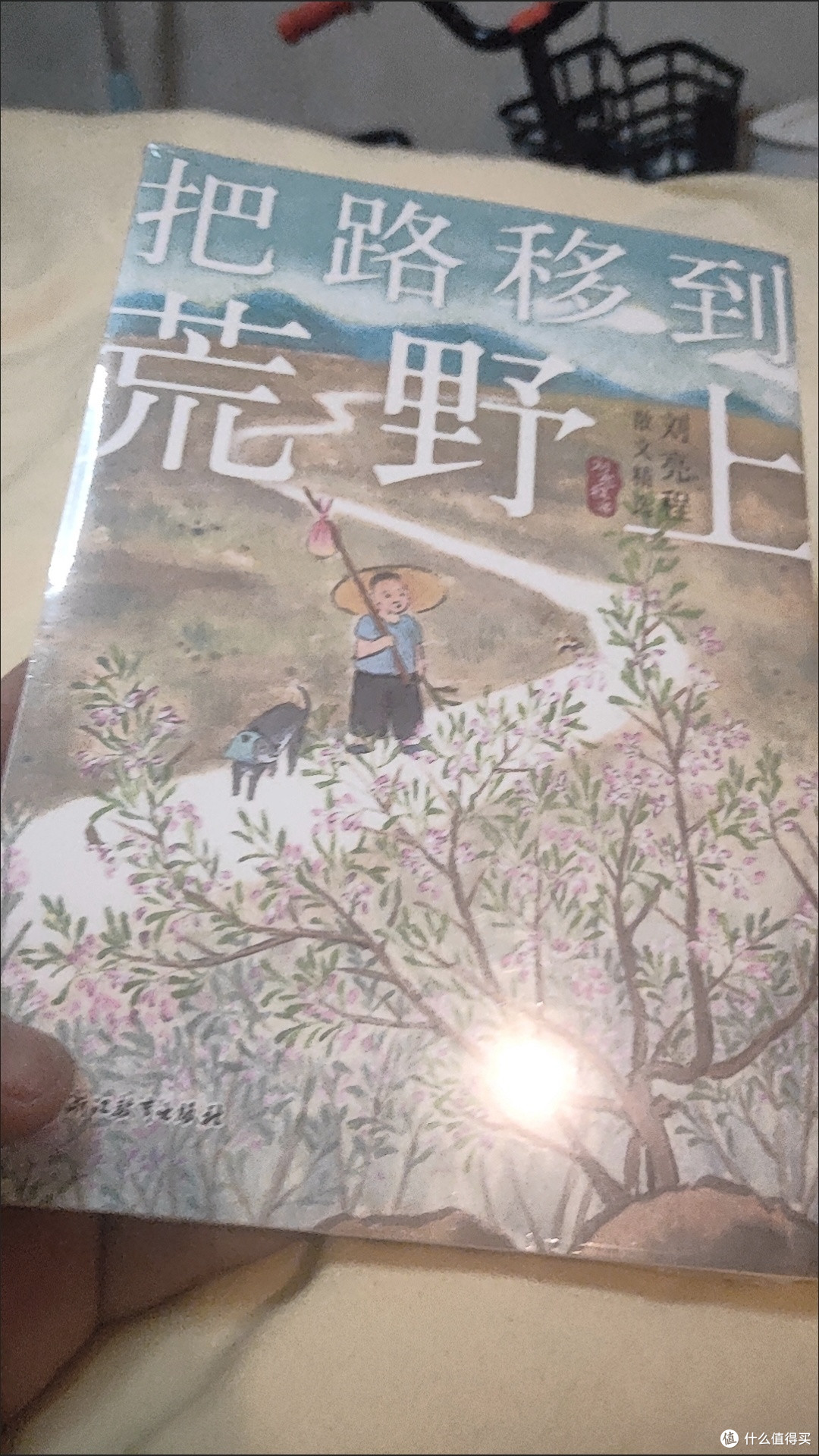 于荒野寻真意,品刘亮程笔下哲思