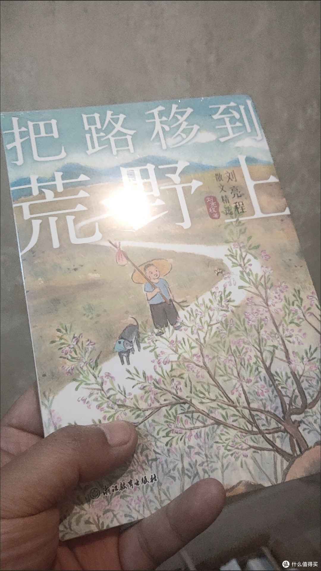 于荒野寻真意,品刘亮程笔下哲思