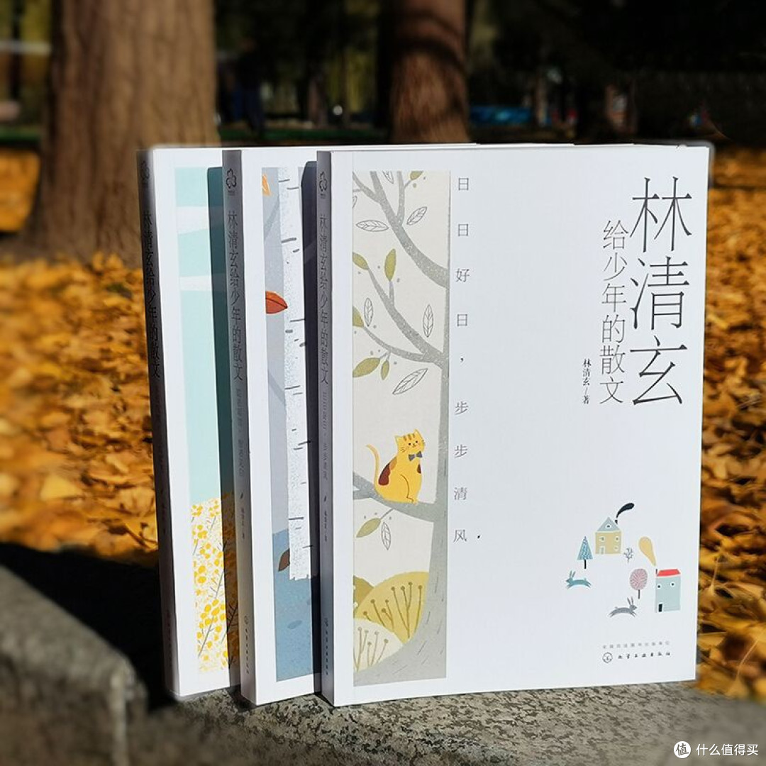 夏夜里读林清玄：给少年的温柔与力量