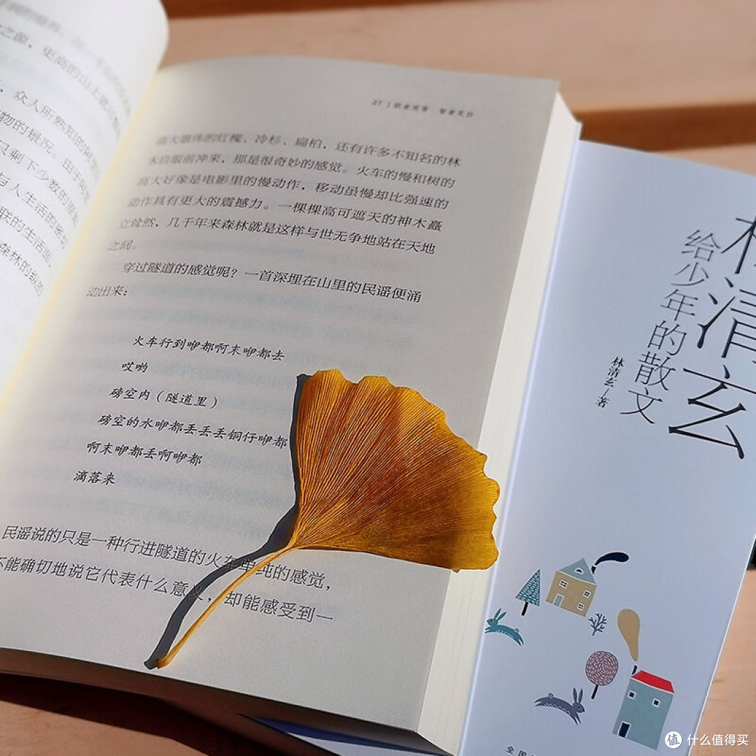 夏夜里读林清玄：给少年的温柔与力量