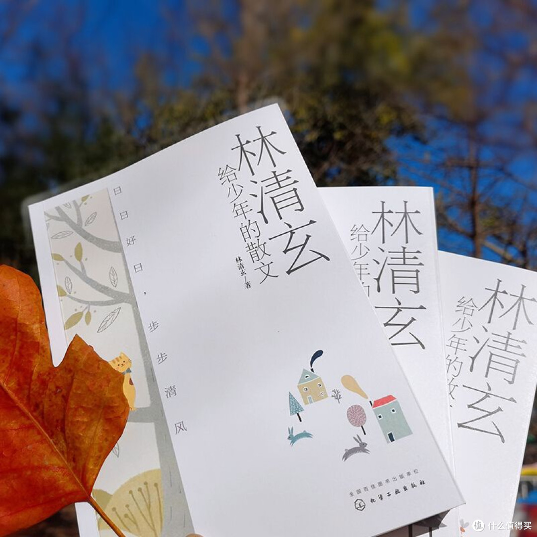 夏夜里读林清玄：给少年的温柔与力量