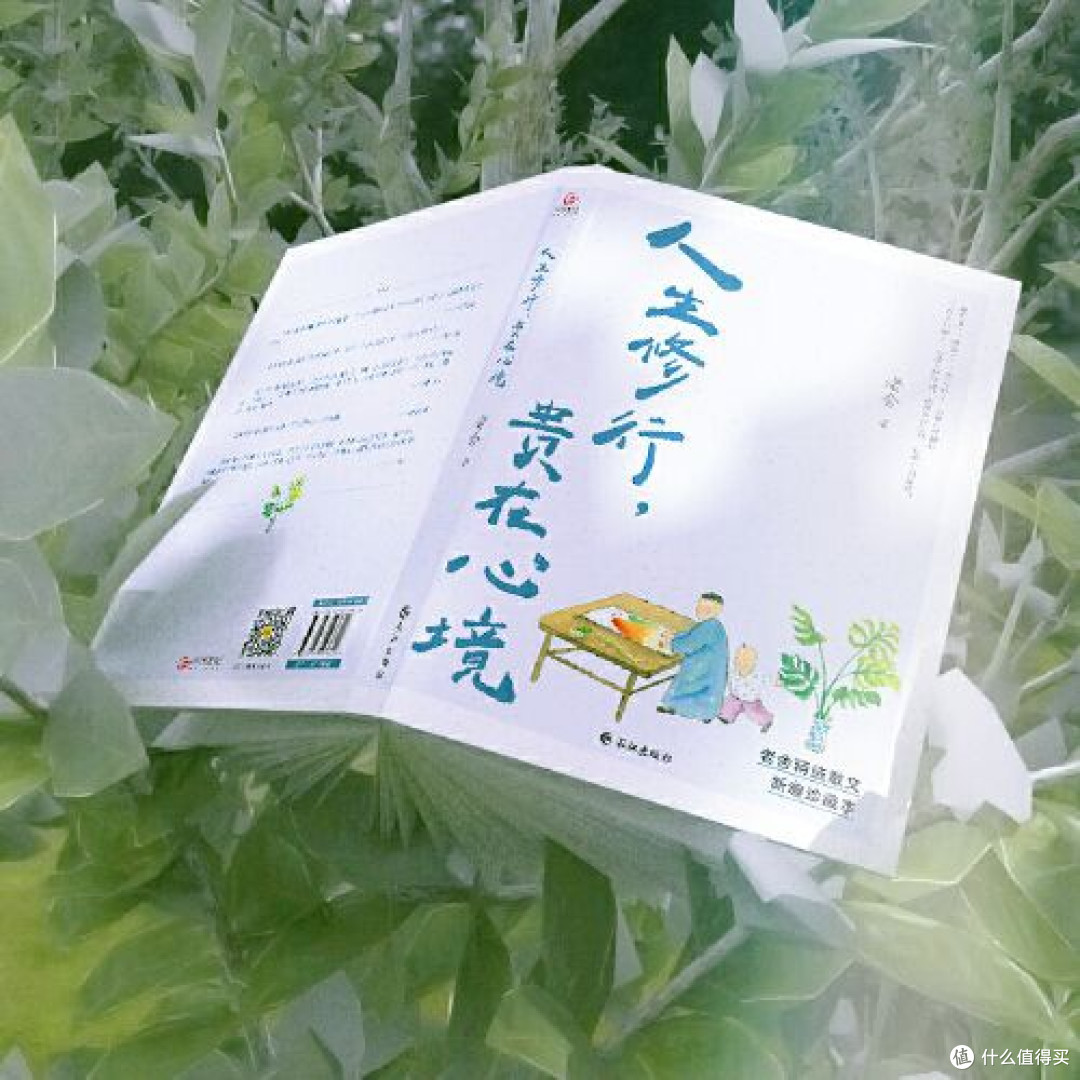 读老舍：在烟火里修出夏日心境
