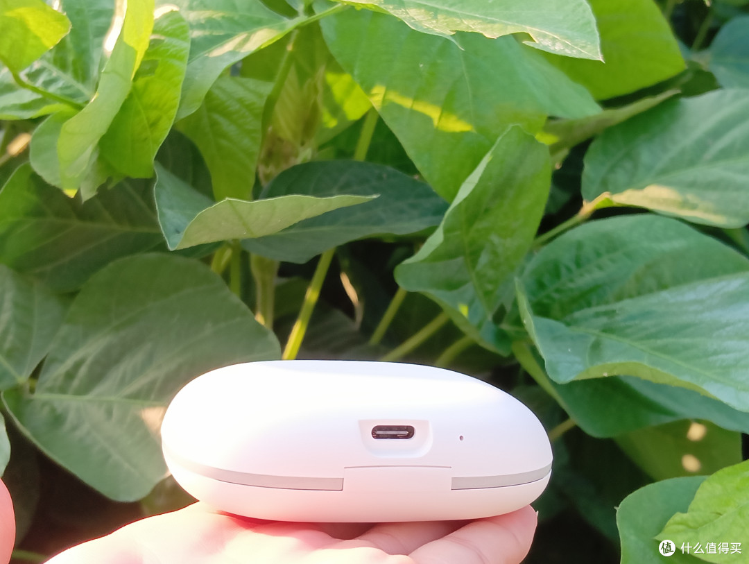 音乐运动两相宜,蛇圣天琴耳机成了我的生活贴心好伙伴
