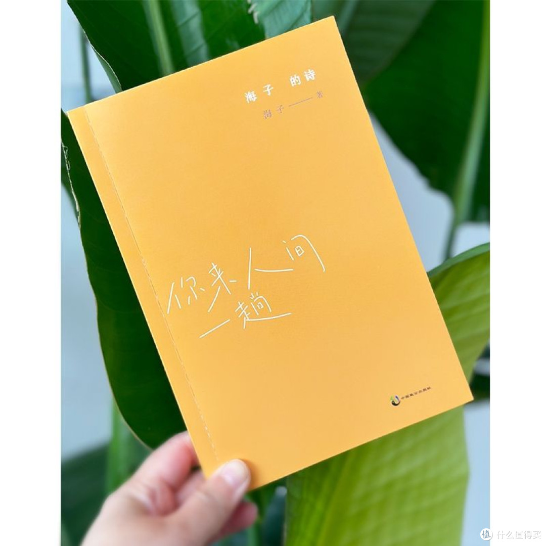 夏日读海子:在诗中邂逅滚烫的灵魂