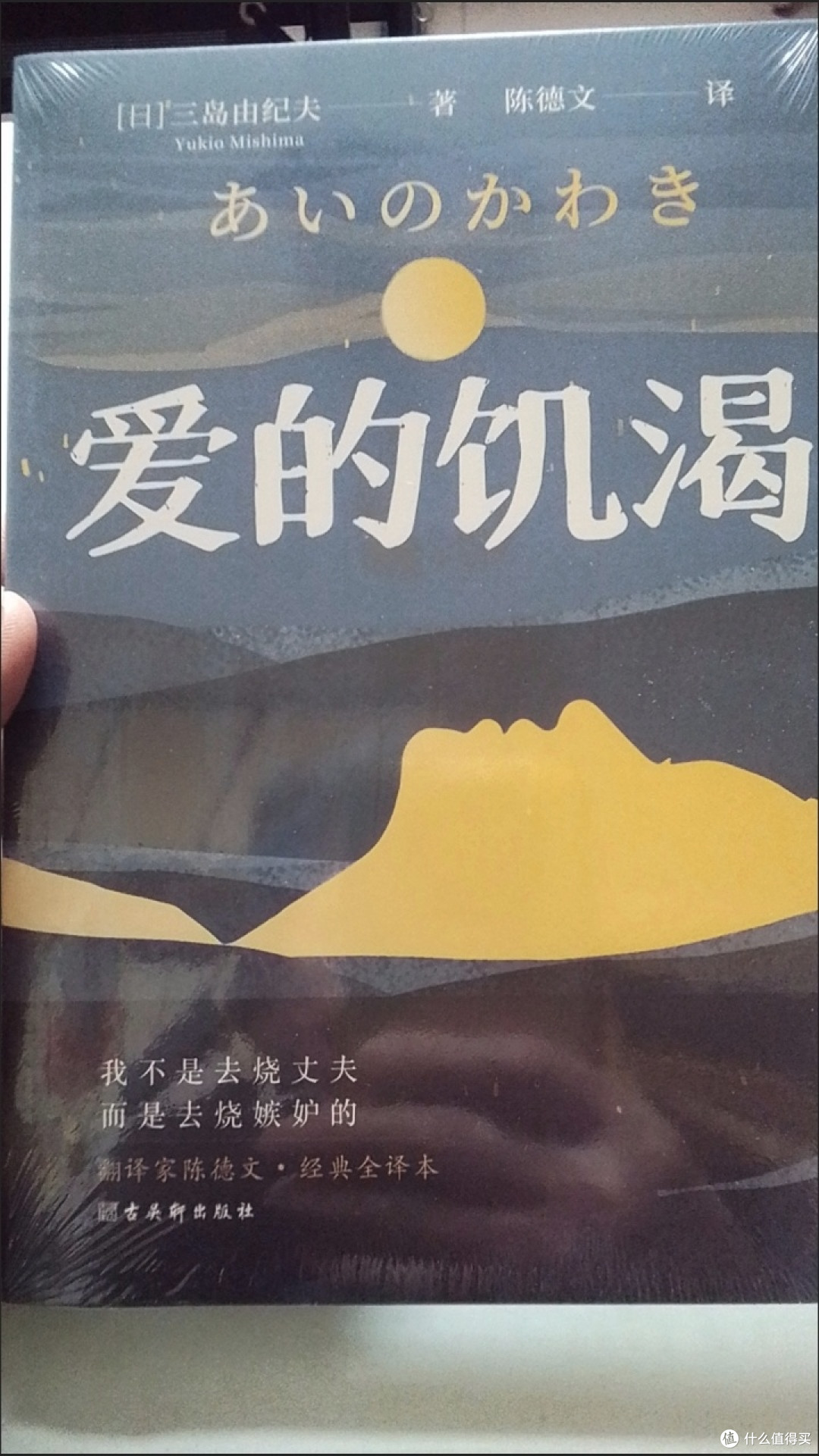 暑日读《爱的饥渴》:灵魂在爱欲深渊的挣扎