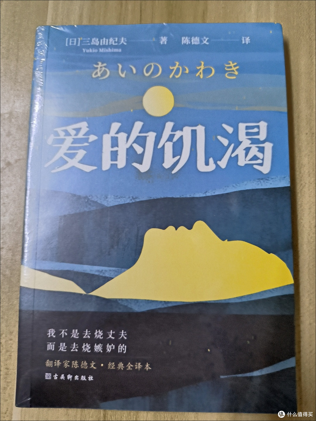 暑日读《爱的饥渴》:灵魂在爱欲深渊的挣扎
